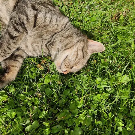 Reittioe Feriepark *