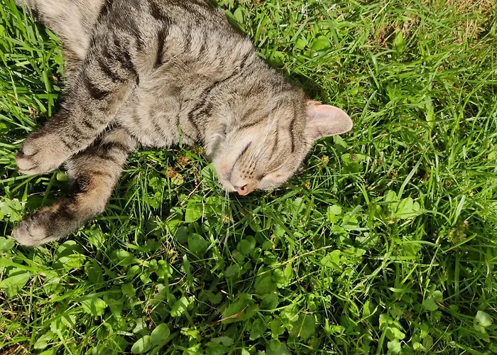 Reittioe Parque de vacaciones *