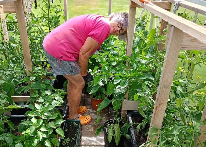 Parque de vacaciones Reittioe *