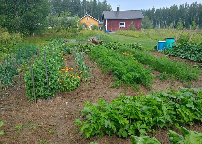 Parque de vacaciones Reittioe